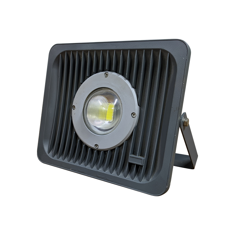 Đèn pha chống cháy nổ 50W - (1*50w)