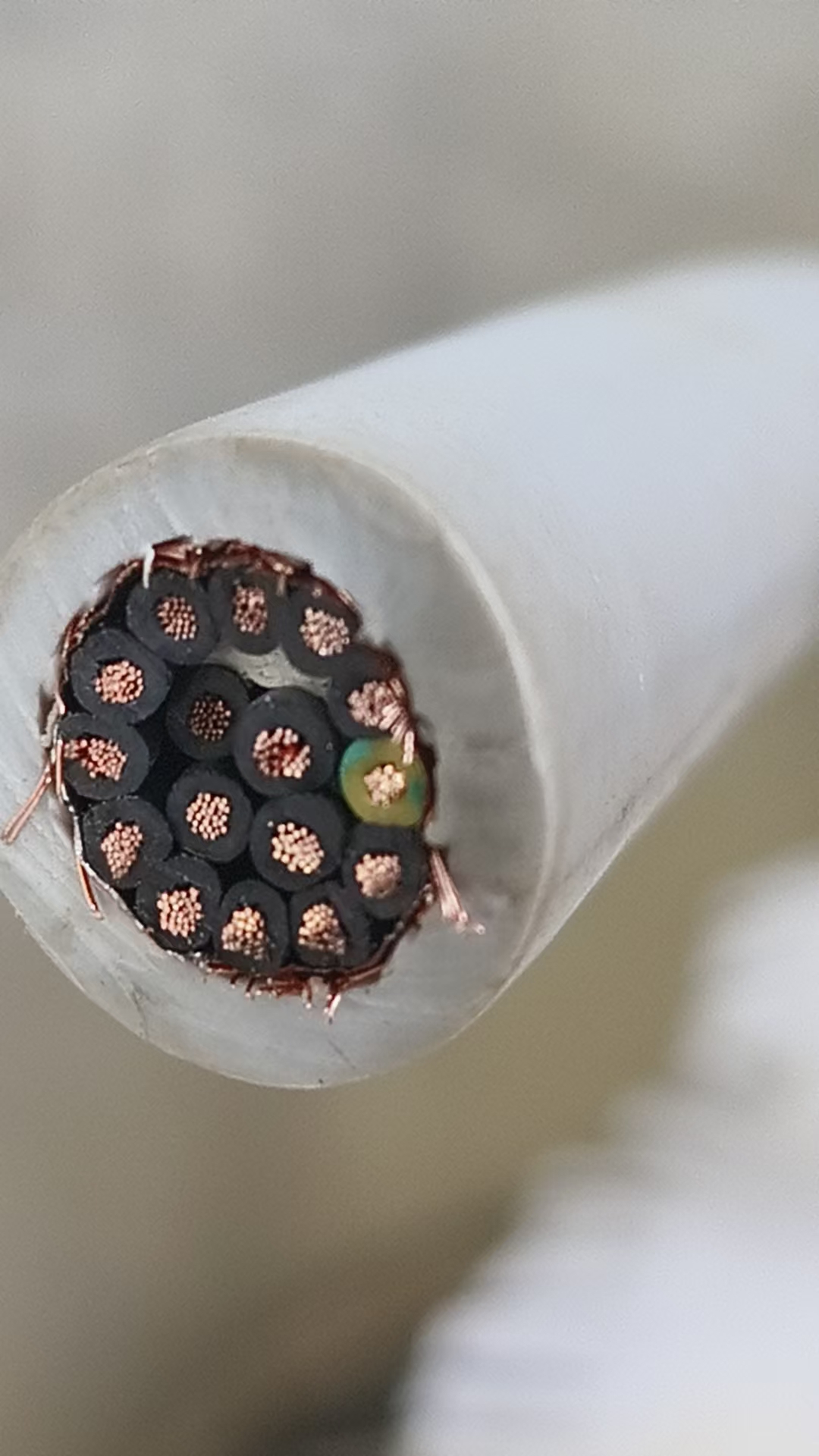 Có lưới 16x0.5 - Dây cáp điều khiển có lưới chống nhiễu RVV 16x0.5 AGTEK