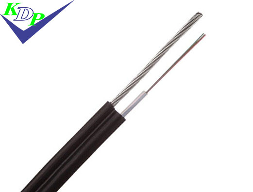 CÁP QUANG THUÊ BAO 2FO