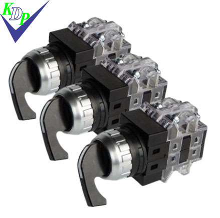 Chuyển Mạch 2Vt Tự Nhả Crsl-252R1 Phi 25 1No+1Nc ( Cần Dài)