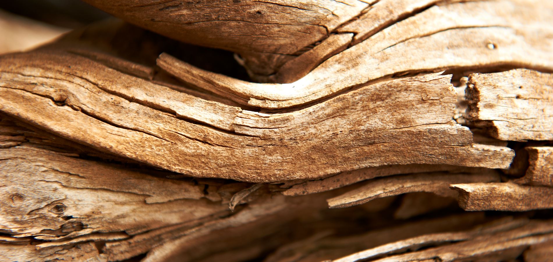 Đàn hương trong nước hoa