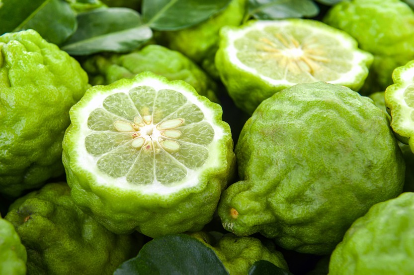 Bergamote trong nước hoa