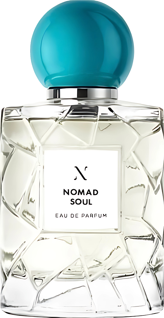 LES SOEURS DE NOE Nomad Soul