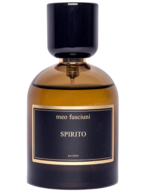 Meo Fusciuni Spirito
