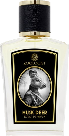Zoologist Musk Deer