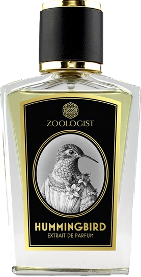 Zoologist Hummingbird