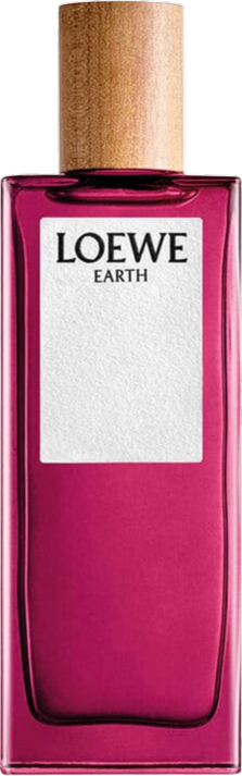 Loewe Earth