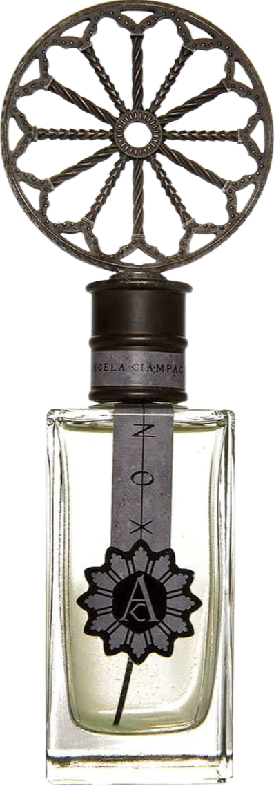 Angela Ciampagna Nox EDP