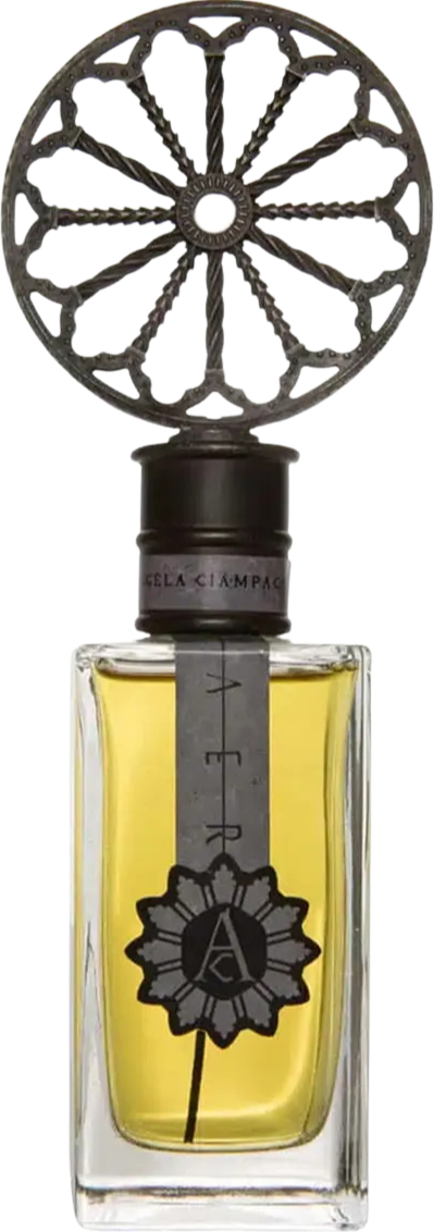 Angela Ciampagna Aer EDP