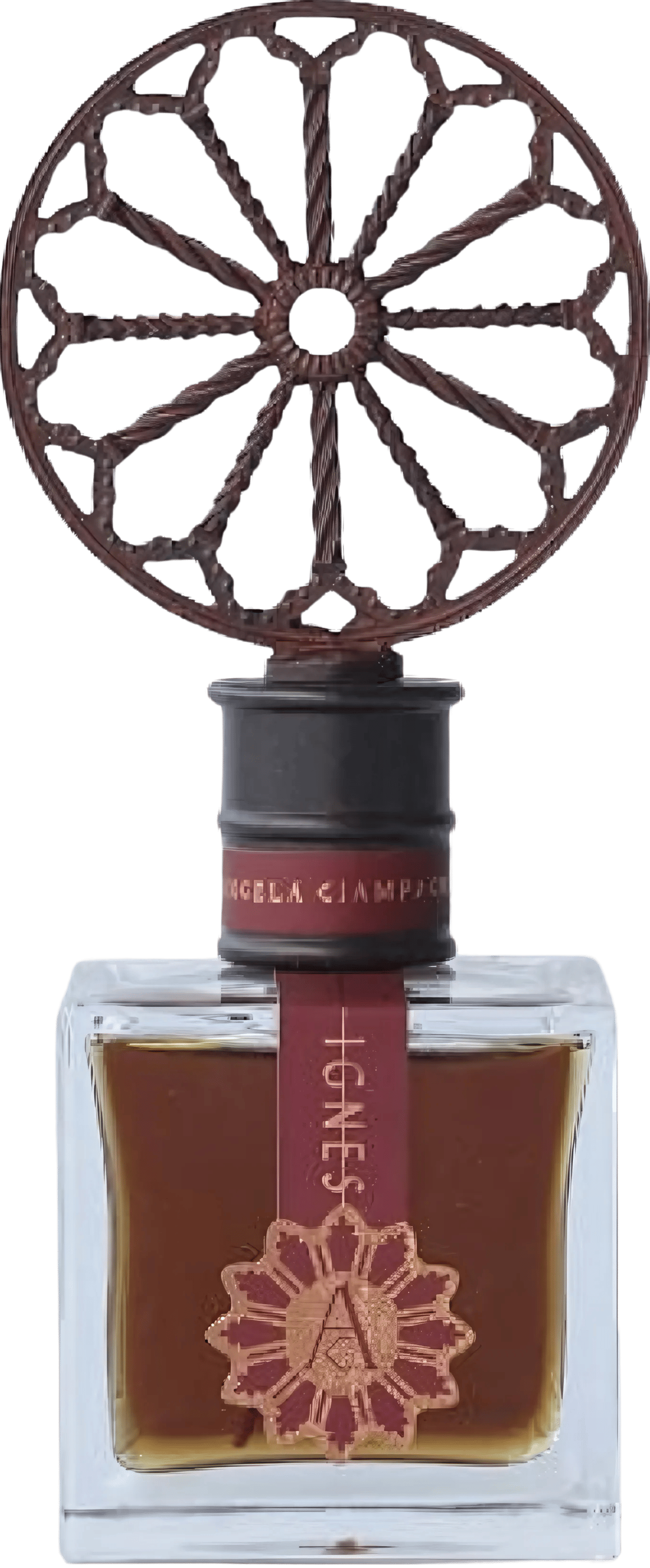 Angela Ciampagna Ignes EDP