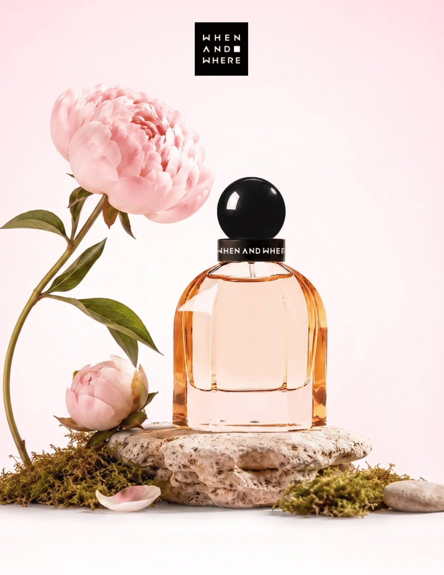 When And Where ENDLESSLY PEONY