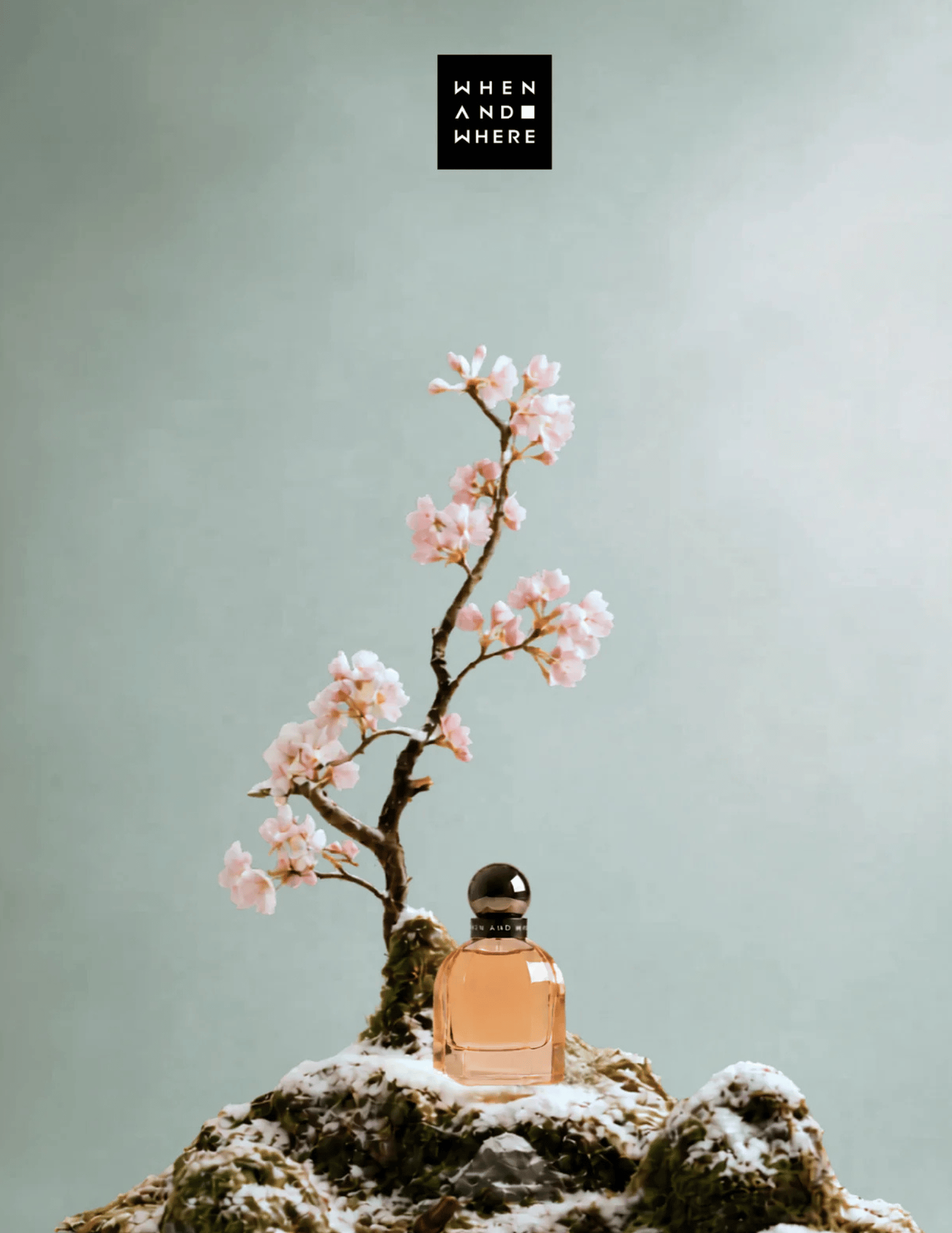 When And Where PEACH BLOSSOM AFTER FROST