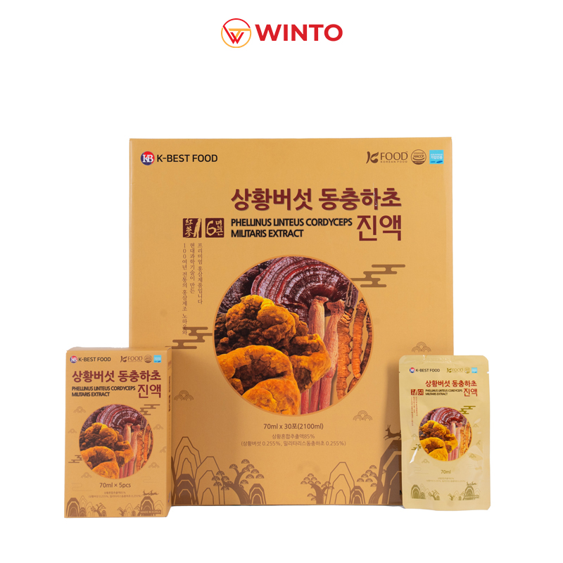 Bí quyết sống khỏe mỗi ngày cùng Nấm thượng hoàng