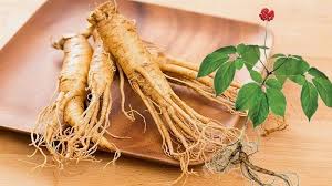 Khám phá nhân sâm Hàn Quốc bí quyết sức khỏe và đẹp tự nhiên