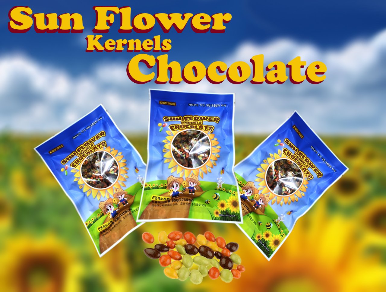 Hướng dương bọc socola Hàn quốc