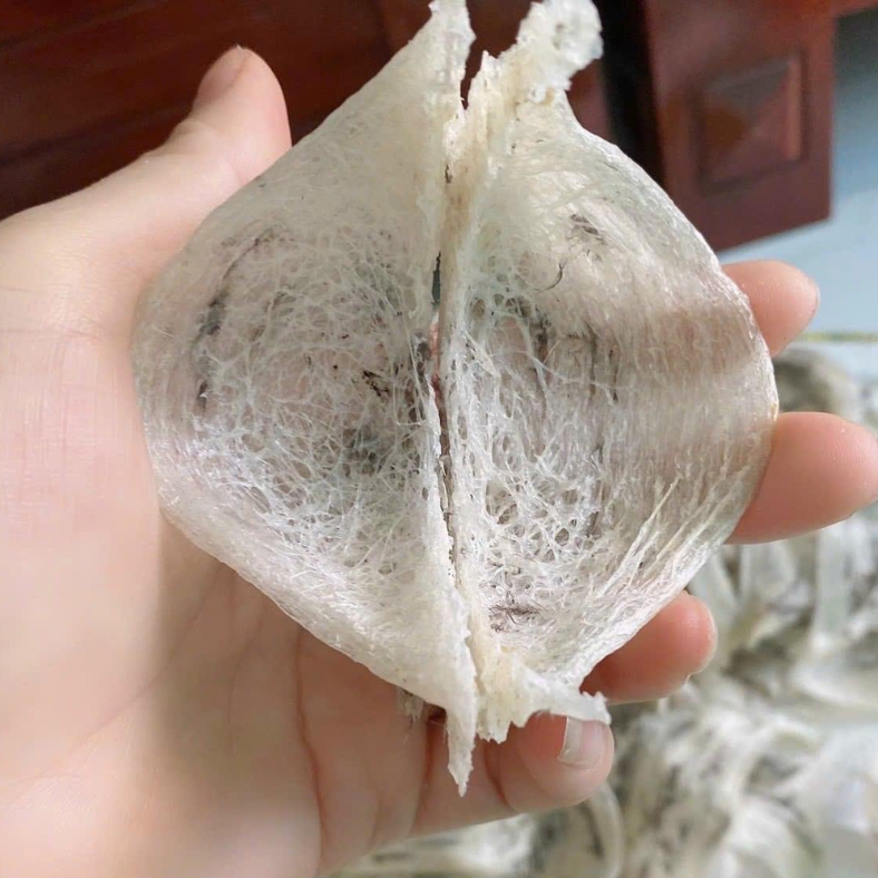 Tổ Yến Thô - Loại Đặc Biệt (ít lông)