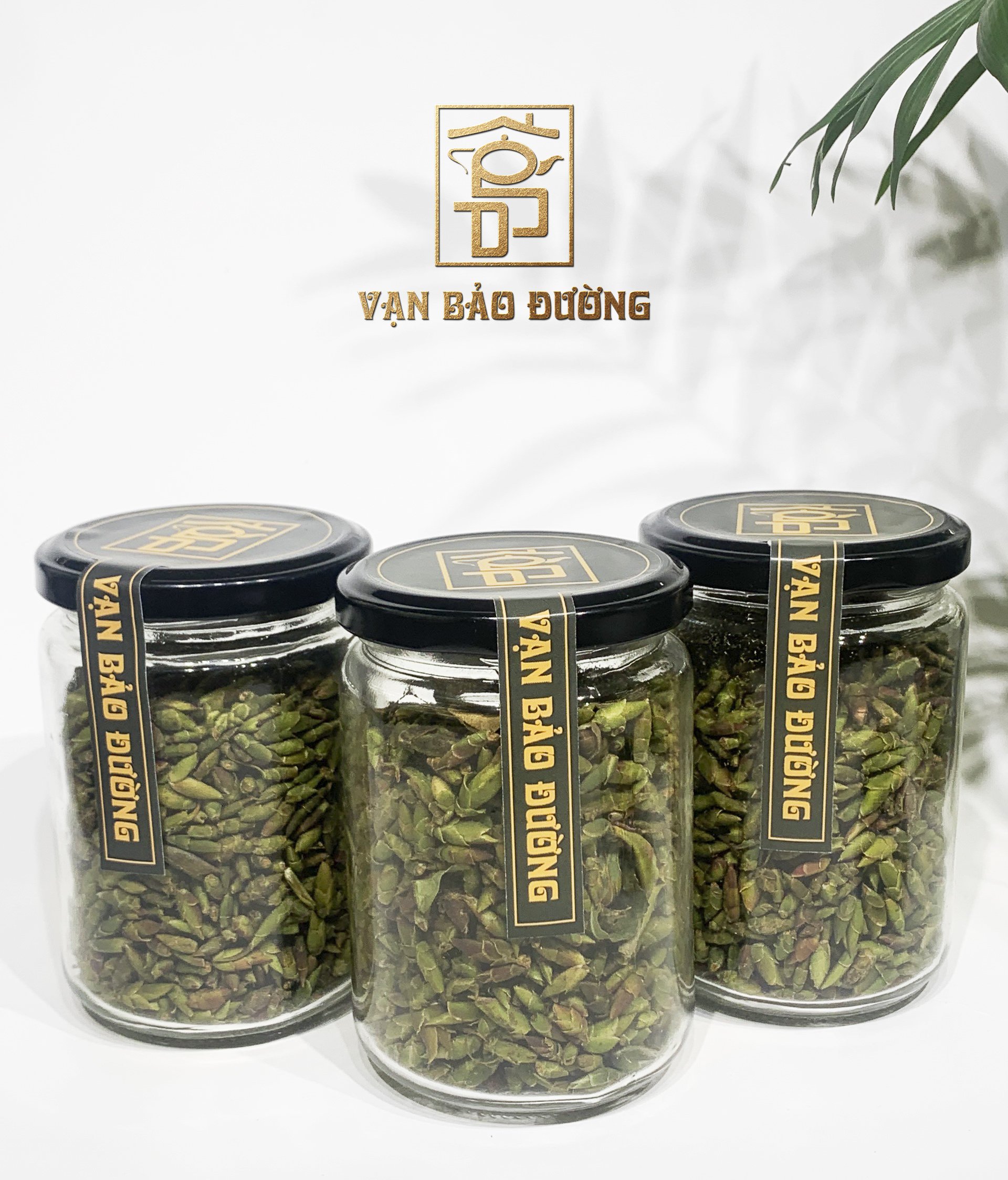 Trà Shan Tuyết Cổ Thụ - Trà Đuôi Rồng