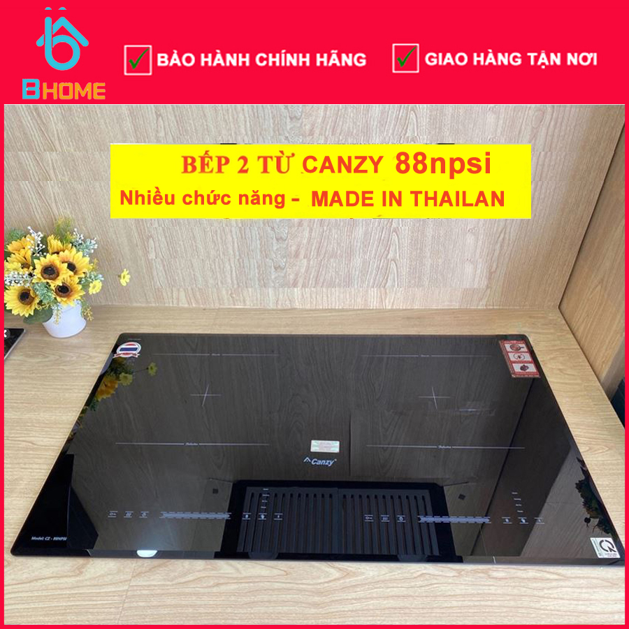 Bếp từ đôi Canzy CZ 88NPSI