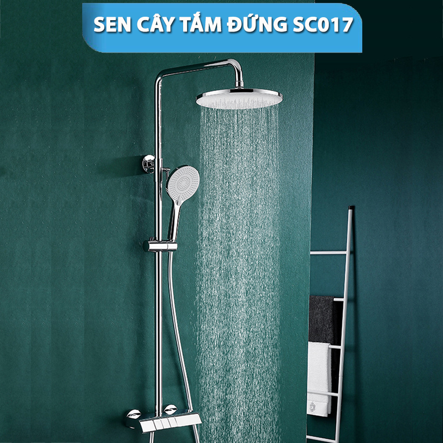 Sen Cây Tắm Đứng SC 017