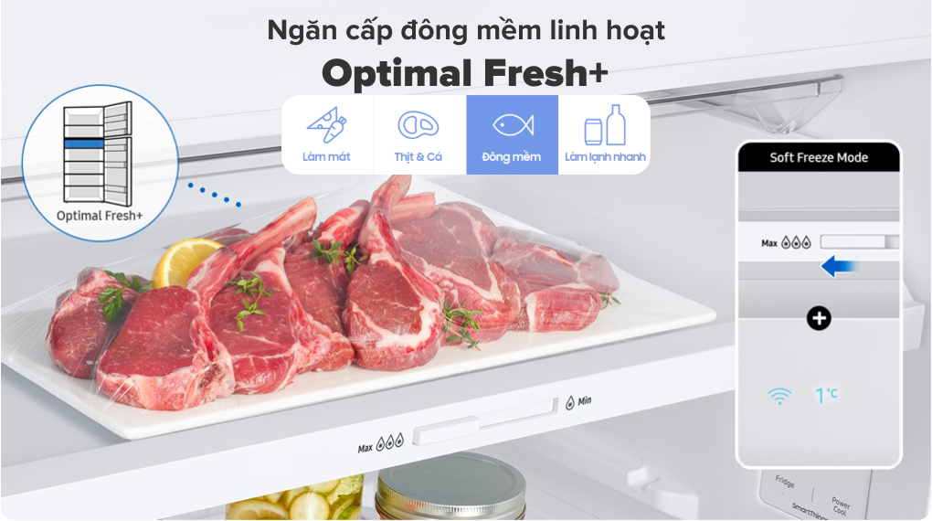 Tủ lạnh Samsung Inverter 348 lít RT35CG5424B1SV lưu trữ đa dạng thực phẩm với ngăn đông mềm linh hoạt Optimal Fresh+