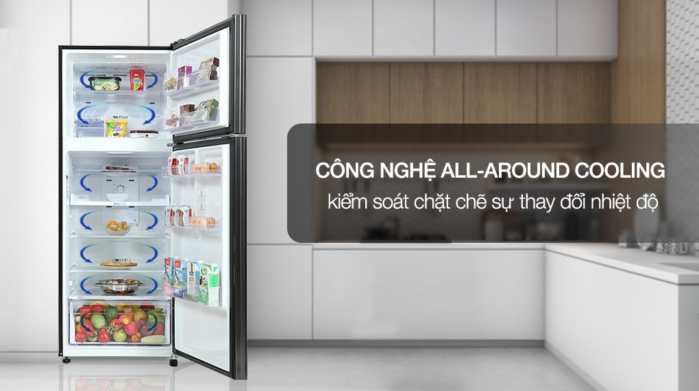 Tủ lạnh Samsung Inverter 460 lít RT46K603JB1/SV kiểm soát tốt sự thay đổi nhiệt độ bên trong nhờ công nghệ làm lạnh vòm tiên tiến