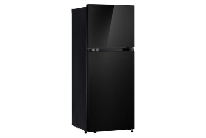 Tủ lạnh LG Inverter 217 lít T21BG