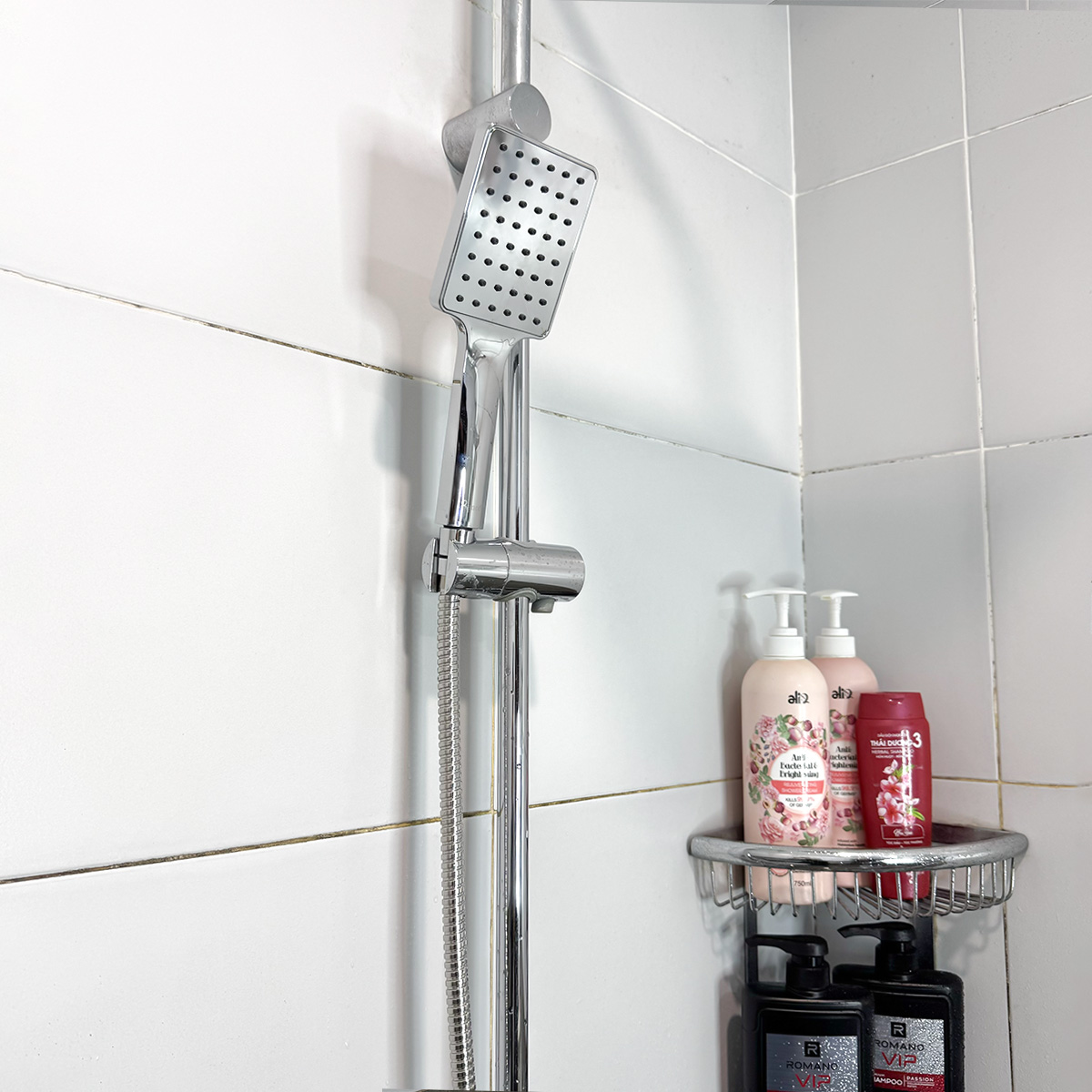Bộ vòi hoa sen dây Inox 304 FSI 401