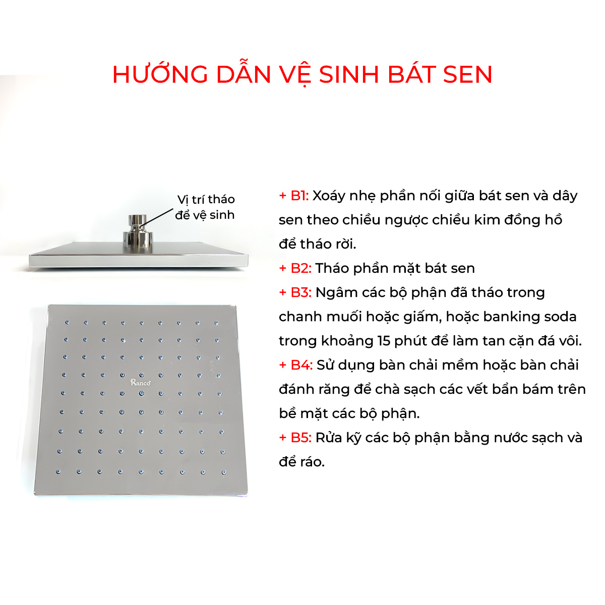 Bát sen cây tắm đứng, bát sen vuông to 20x20cm RANCO sáng bóng mát xa dày dặn KT - 621