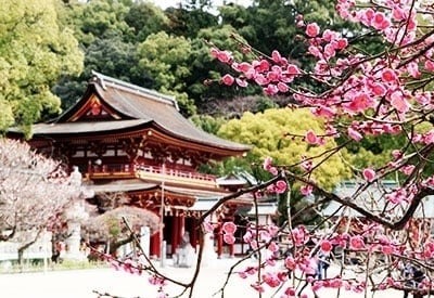 Khách Việt chưa thể du lịch Nhật Bản