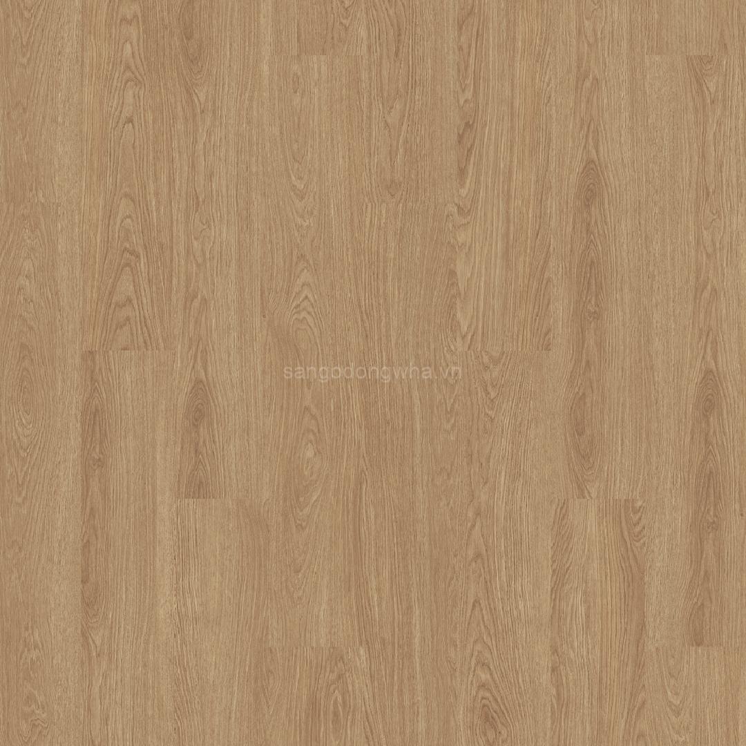 NT009 – GRAND YELLOW OAK