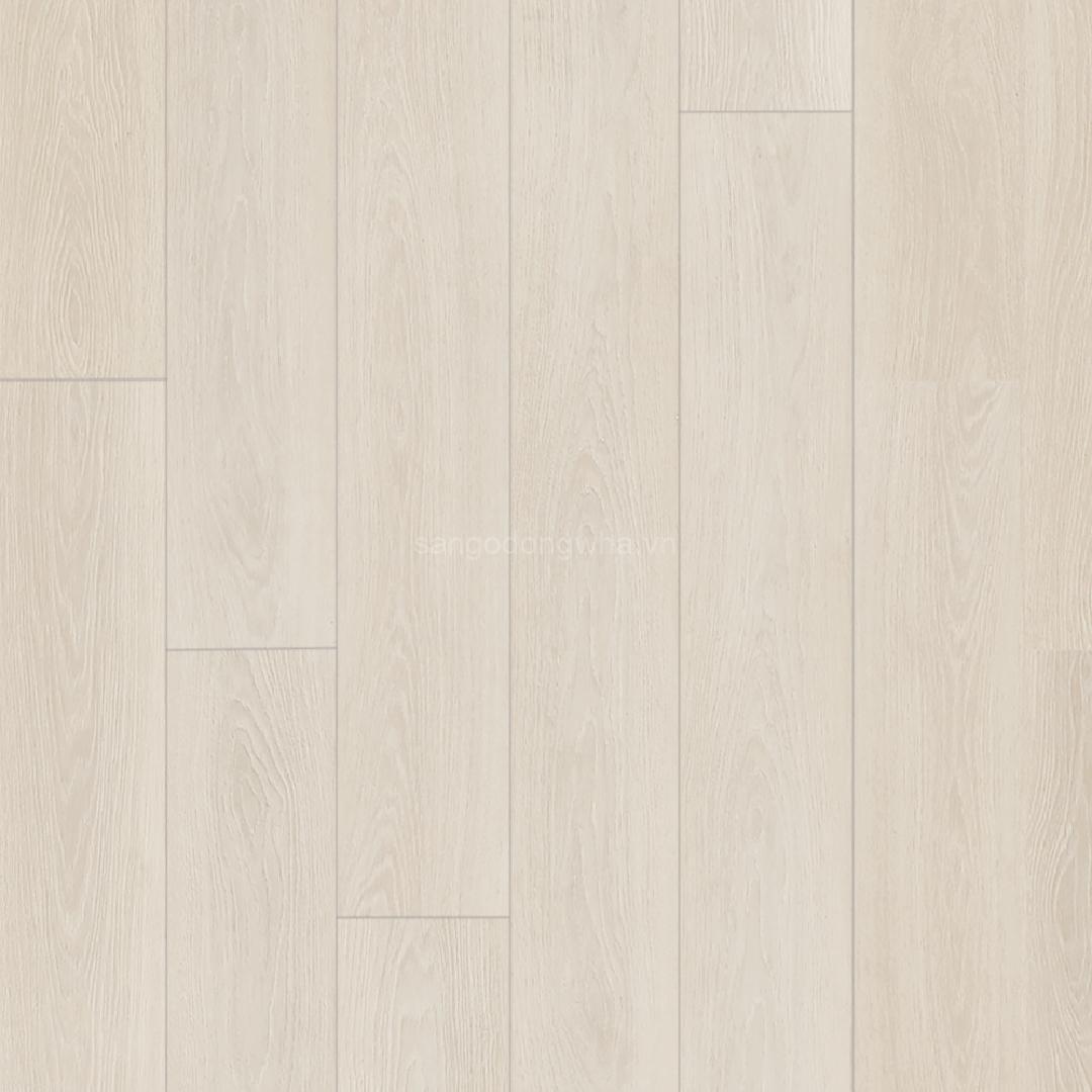 SF005 – SILKY OAK