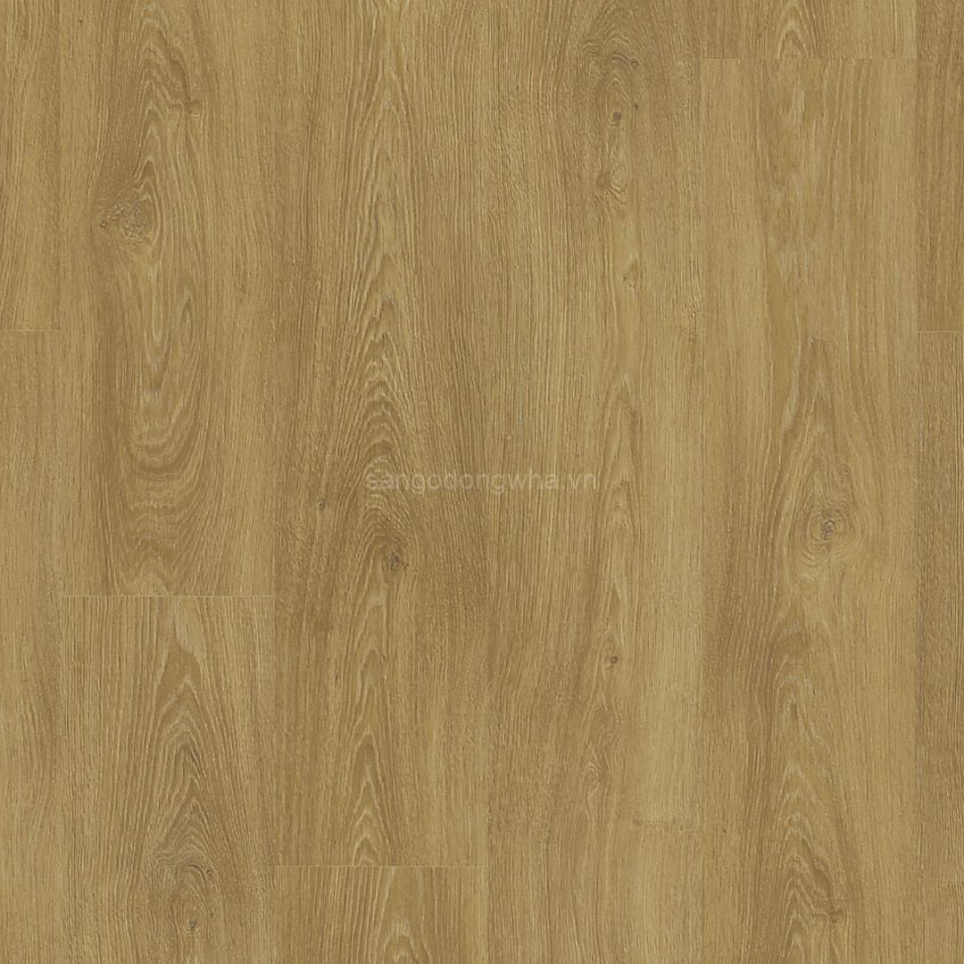 SF003 – EUROPEAN OAK