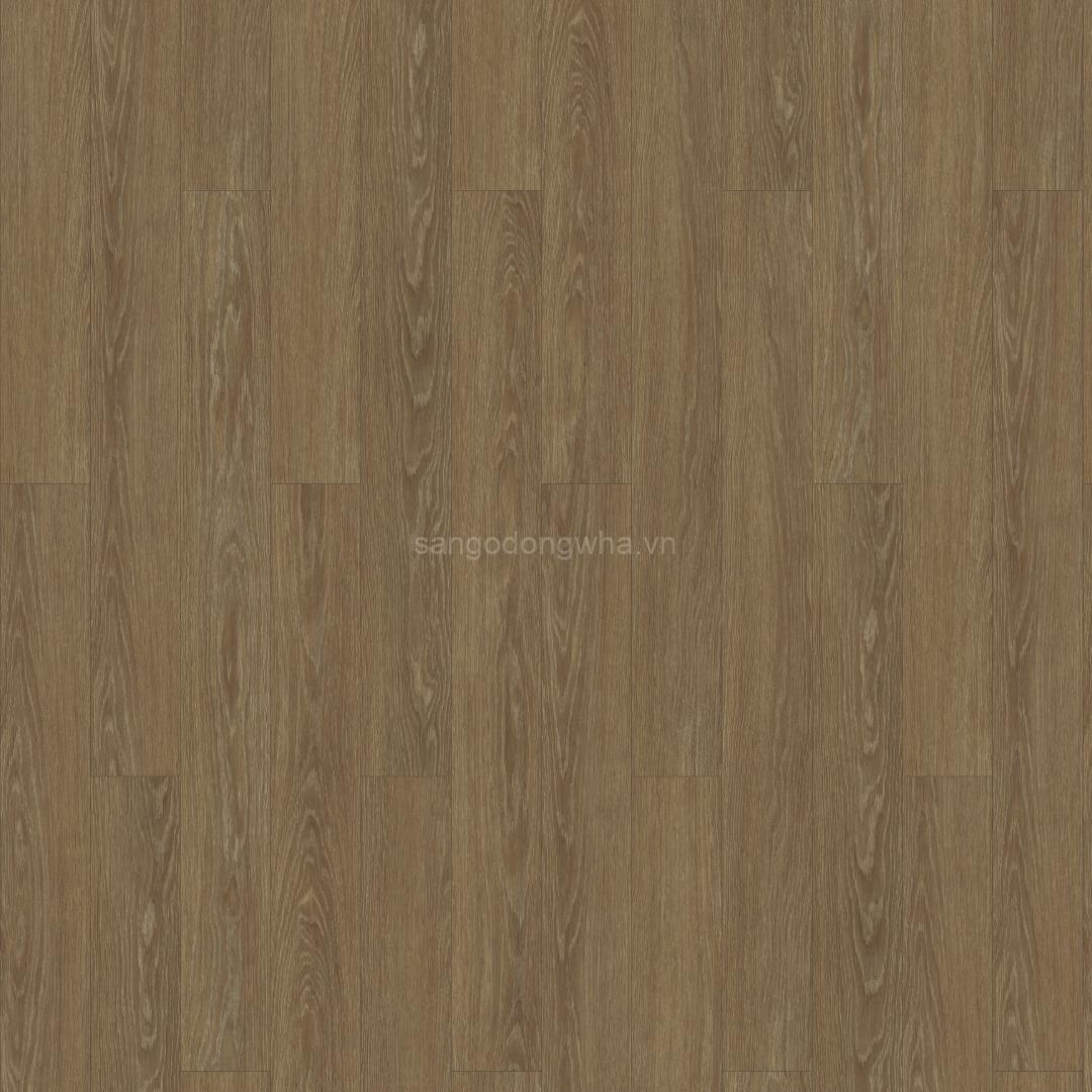 SM006 – CLASSY OAK