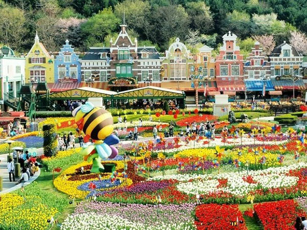 SEOUL-NAMI- EVERLAND-NÔNG TRẠI LÊ, TÁO BAY ASIANA AIRLINES