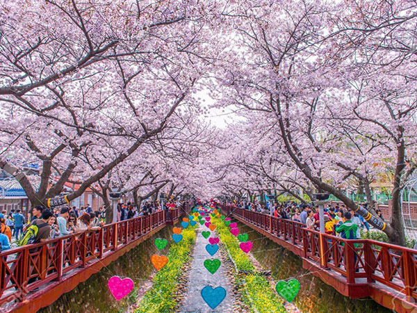 SEOUL - NAMI - EVERLAND BAY HÀNG KHÔNG HÀN QUỐC 5*