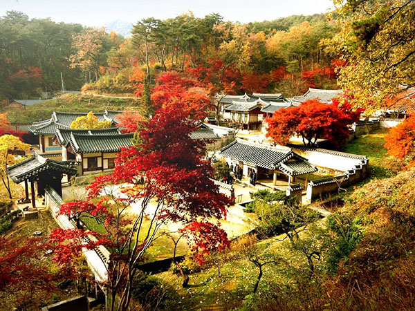 HÀN QUỐC - SEOUL - ĐẢO NAMI - CÔNG VIÊN EVERLAND