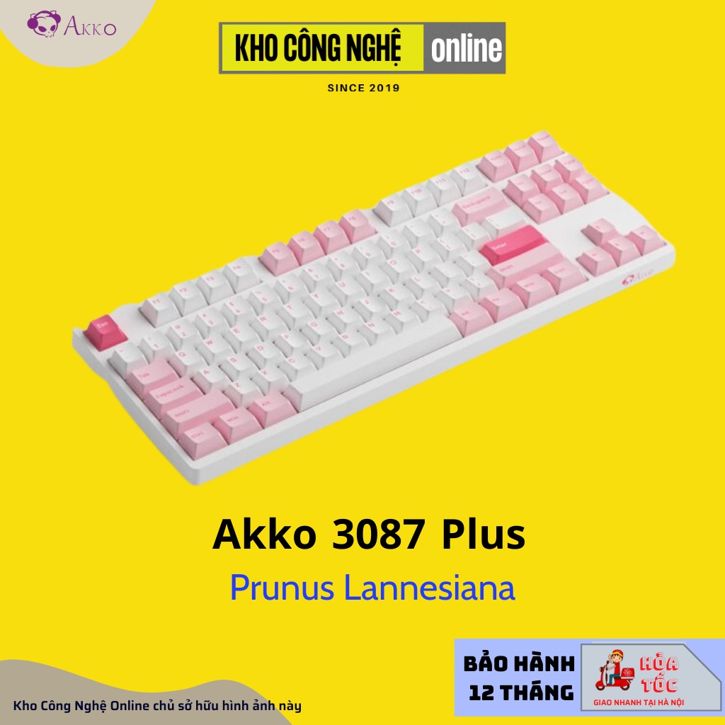 Bàn Phím Cơ AKKO 3087 Plus Black & Cyan | 3087 Plus Prunus Lannesiana (Foam tiêu âm / AKKO CS switch)