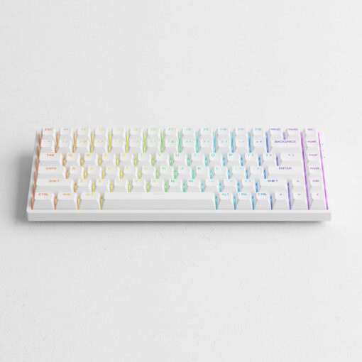 Bàn Phím Cơ AKKO 3084 v2 RGB (Foam tiêu âm / Hotswap / AKKO CS Jelly switch)