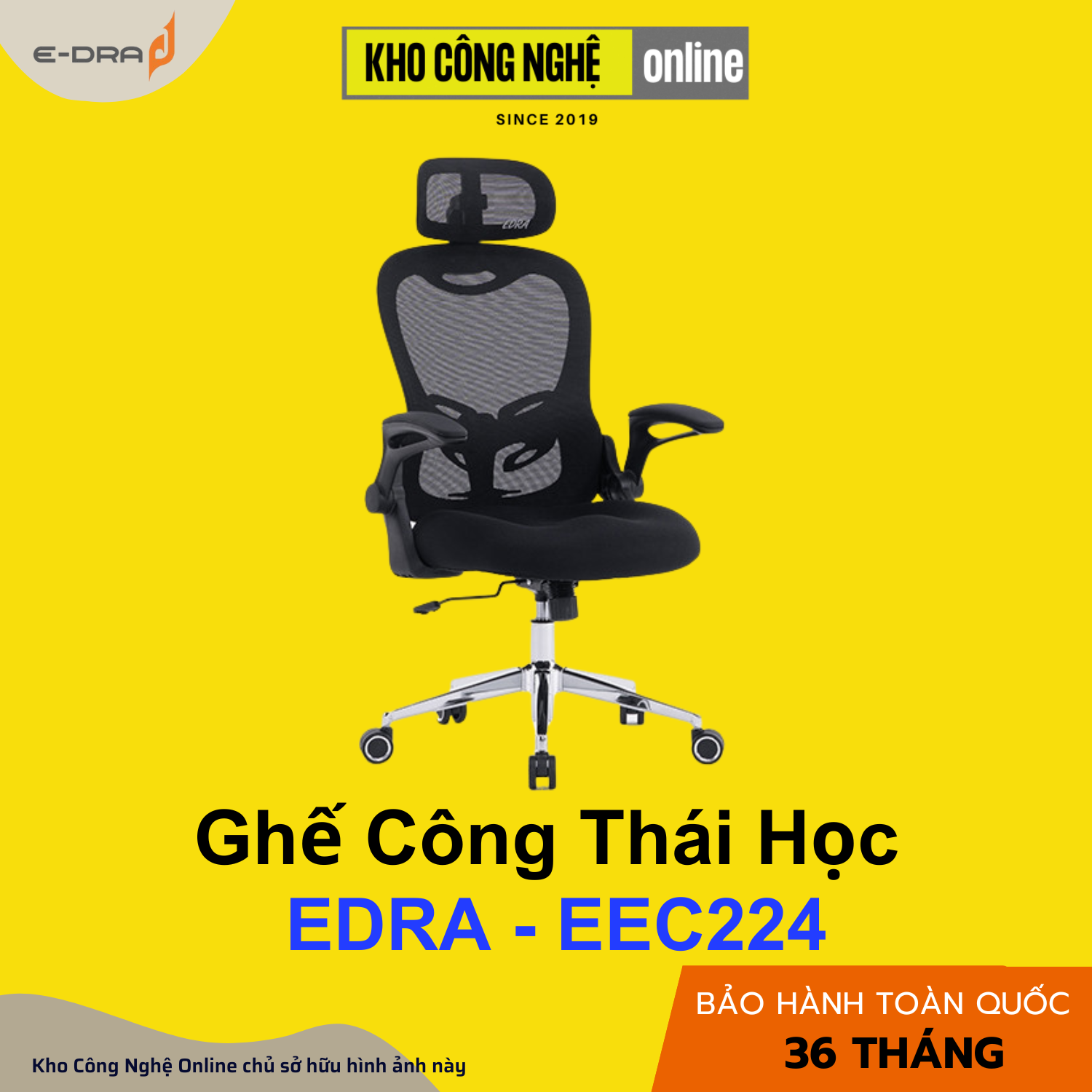 Ghế công thái học EDRA - EEC224