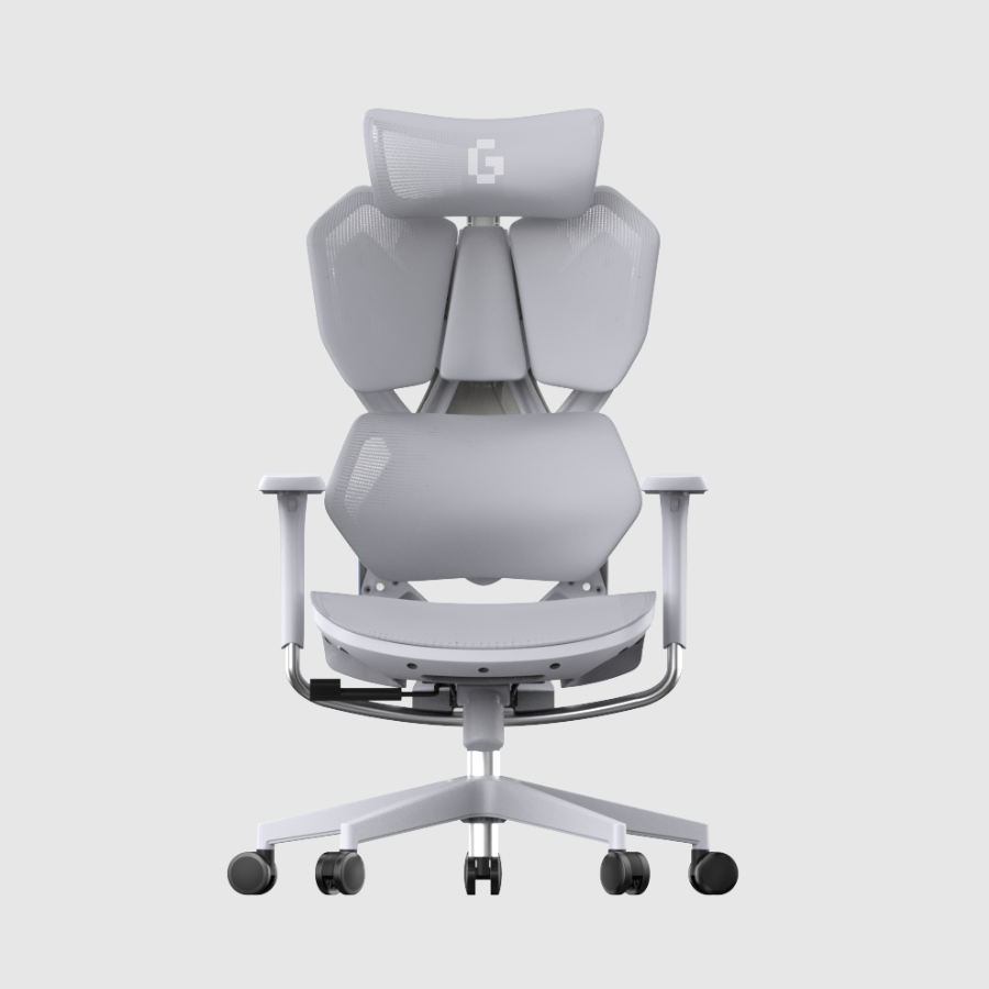 Ghế công thái học Gami X5 - Luna