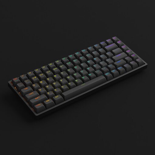 Bàn Phím Cơ AKKO 3084 v2 RGB (Foam tiêu âm / Hotswap / AKKO CS Jelly switch)