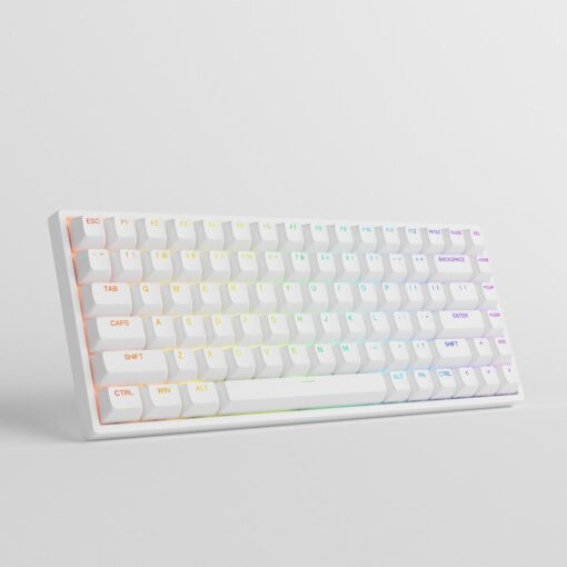 Bàn Phím Cơ AKKO 3084 v2 RGB (Foam tiêu âm / Hotswap / AKKO CS Jelly switch)