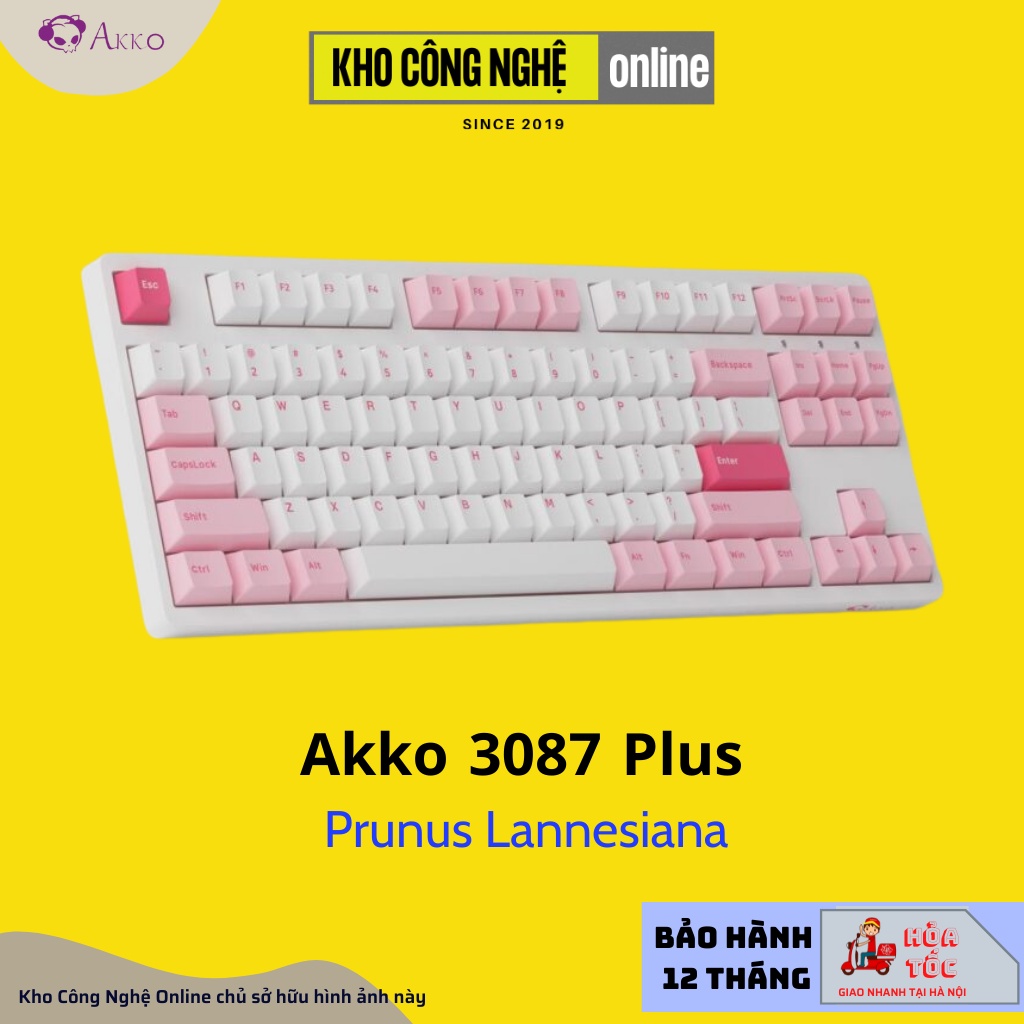 Bàn Phím Cơ AKKO 3087 Plus Black & Cyan | 3087 Plus Prunus Lannesiana (Foam tiêu âm / AKKO CS switch)