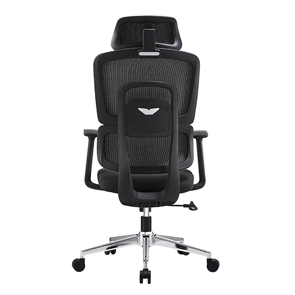 Ghế công thái học E-DRA EEC219