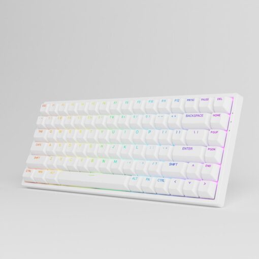 Bàn Phím Cơ AKKO 3084 v2 RGB (Foam tiêu âm / Hotswap / AKKO CS Jelly switch)