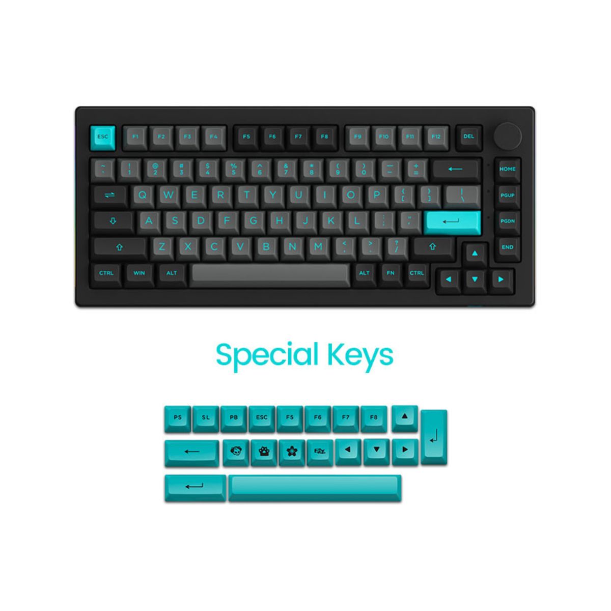 Bàn phím cơ AKKO 5075B Plus Black & Cyan (Multi-modes / RGB / Hotswap / Gasket mount)