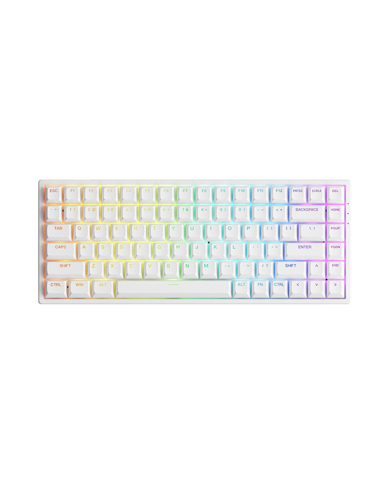 Bàn Phím Cơ AKKO 3084 v2 RGB (Foam tiêu âm / Hotswap / AKKO CS Jelly switch)