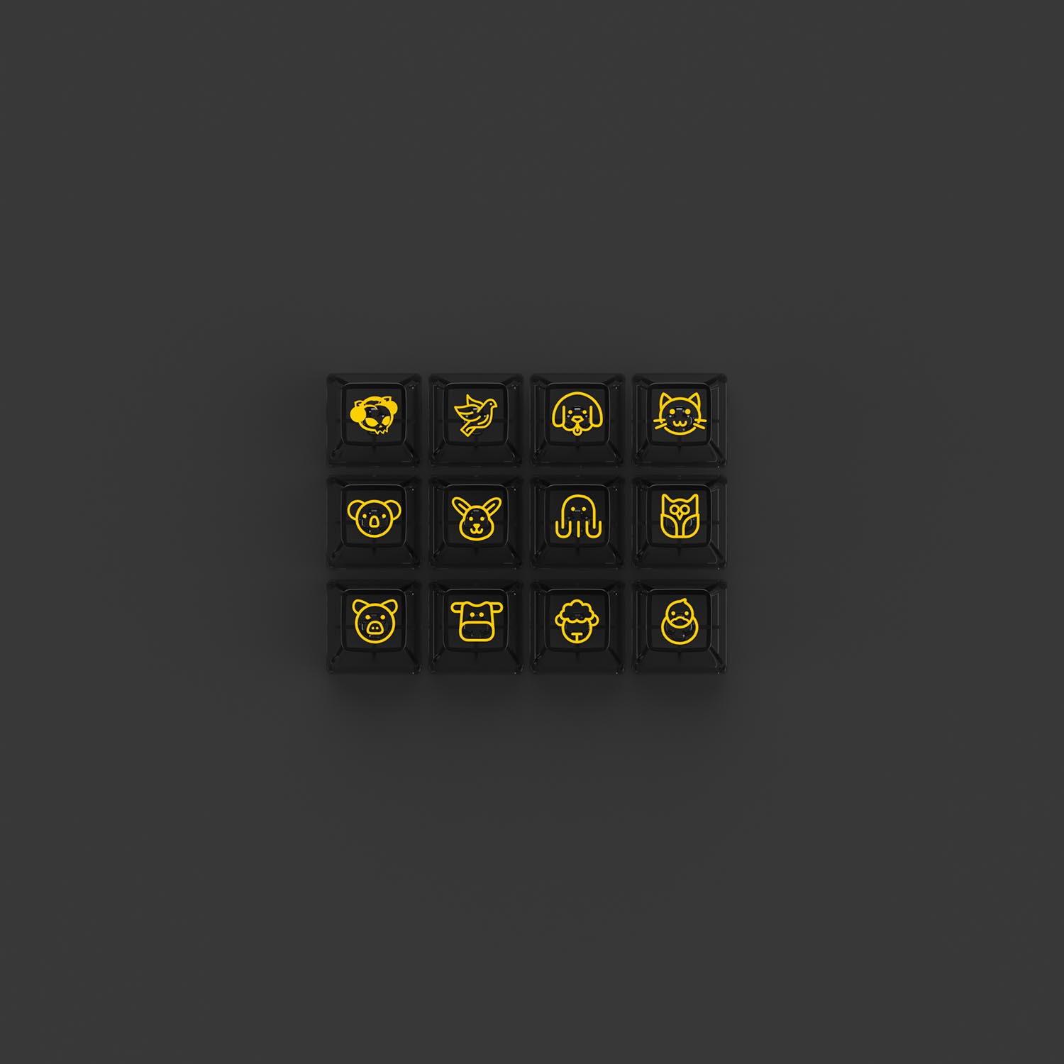 Bộ keycap cho bàn phím cơ AKKO Black (PC / ASA-Clear profile / 155 nút)