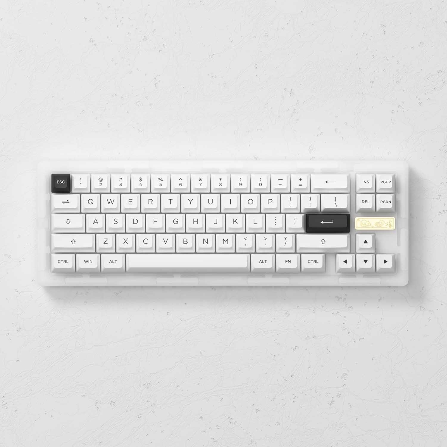 Bàn phím AKKO ACR Pro 75 / ACR Pro 68 (RGB / Hotswap / AKKO CS Crystal / Gasket Mount)