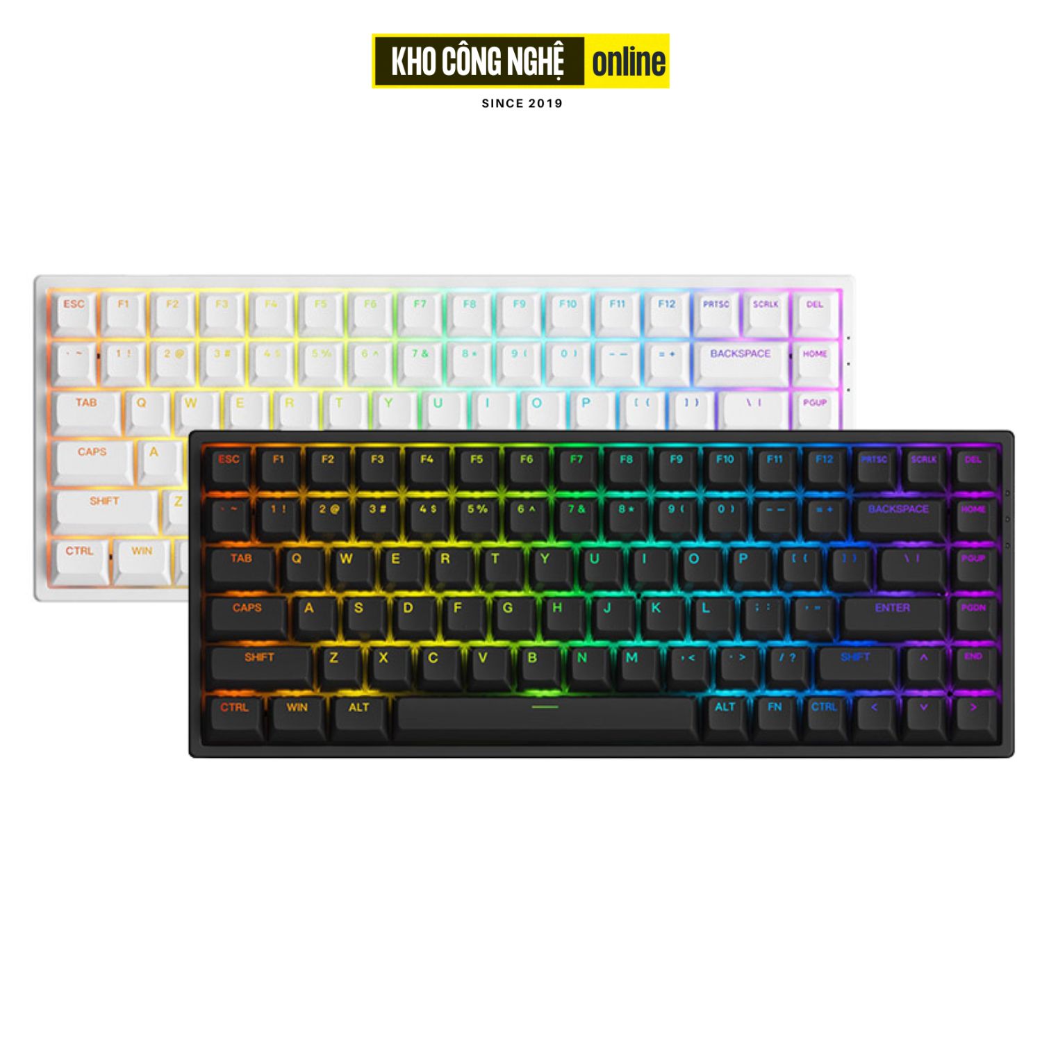Bàn Phím Cơ AKKO 3084 v2 RGB (Foam tiêu âm / Hotswap / AKKO CS Jelly switch)